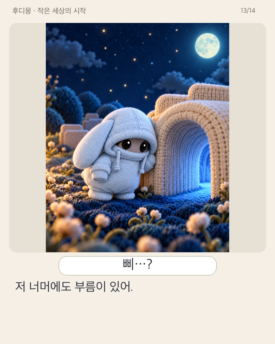 SNS03 · 13 / 14 · Korean original